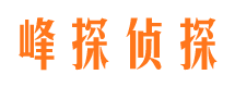 宝应外遇出轨调查取证